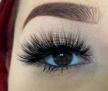 Load image into Gallery viewer, FLY