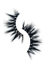 Load image into Gallery viewer, NEVER SETTLE